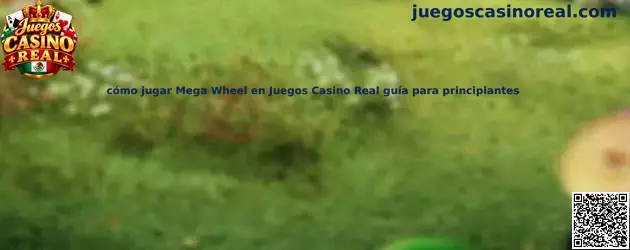 Imagen ilustrativa de Mega Wheel para conocer sus segmentos y comprender las opciones de apuesta