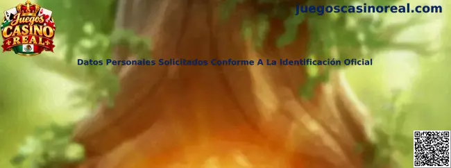 Guía informativa de Juegos Casino Real sobre los datos personales solicitados conforme a la identificación oficial en México