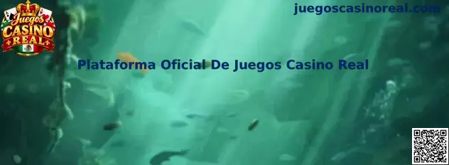 Imagen informativa sobre el acceso y la verificación de la Plataforma Oficial de Juegos Casino Real